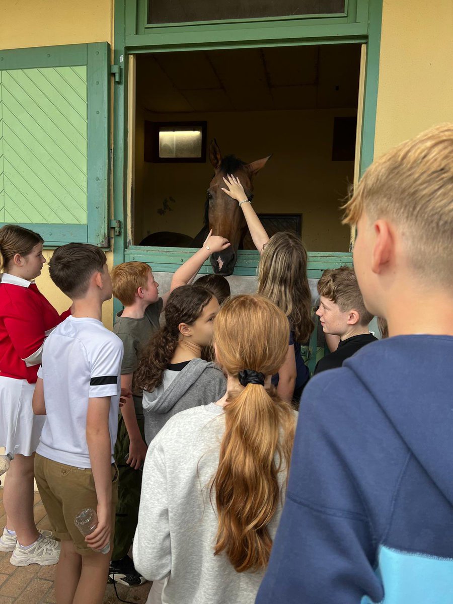 MFLNWHS1's tweet photo. A few lovely photos after meeting Olympic hopeful Pauline Basquin and her horse Sertorius de Rima @NunneryWoodHS #France2024 🇫🇷🇫🇷 https://t.co/ByrsrI72eU