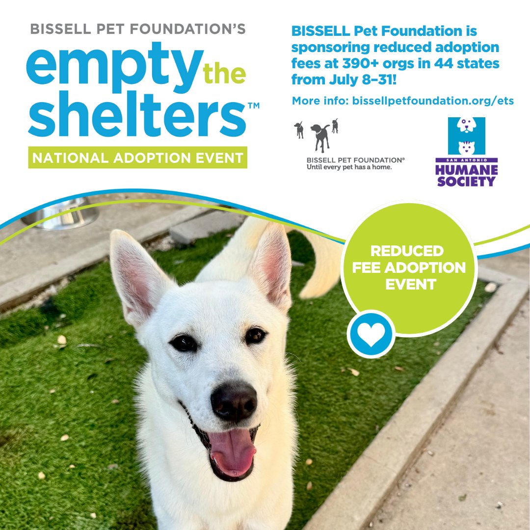 SA Humane Society (@sahumane) on Twitter photo We're so excited to participate in this amazing adoption event with $50 adoption fees for all pets over 1 year old (excluding Ambassador Pets) thanks to <a href="/BISSELLPets/">BISSELL Pet Foundation πΆπ±</a> & Cathy Bissell! This special runs through the end of the month, come visit us! π₯° #EmptyTheShelters We're so excited to participate in this amazing adoption event with $50 adoption fees for all pets over 1 year old (excluding Ambassador Pets) thanks to <a href="/BISSELLPets/">BISSELL Pet Foundation πΆπ±</a> & Cathy Bissell! This special runs through the end of the month, come visit us! π₯° #EmptyTheShelters