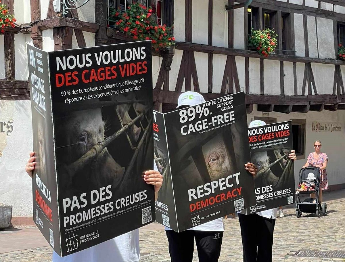 CIWF France tweet media