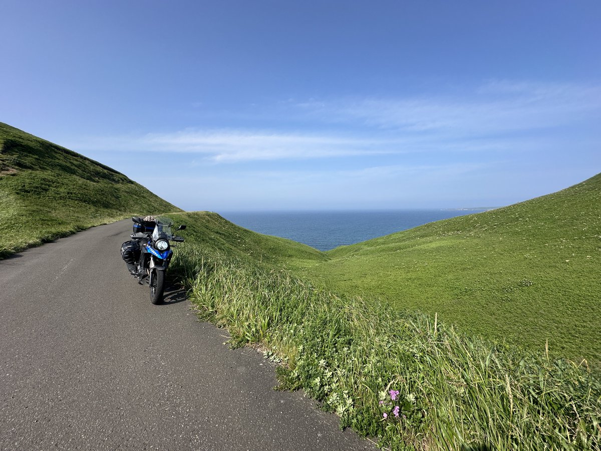 こんぺい tweet media