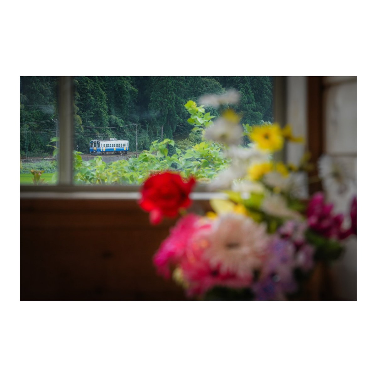 U_Q_railscape's tweet photo. 記憶が正しければ、えちぜん鉄道の撮影は10年ぶり。福井には何度も行っているけれど…。
2024.7.16

#railscape
#えちぜん鉄道 https://t.co/PXnl0u16T4