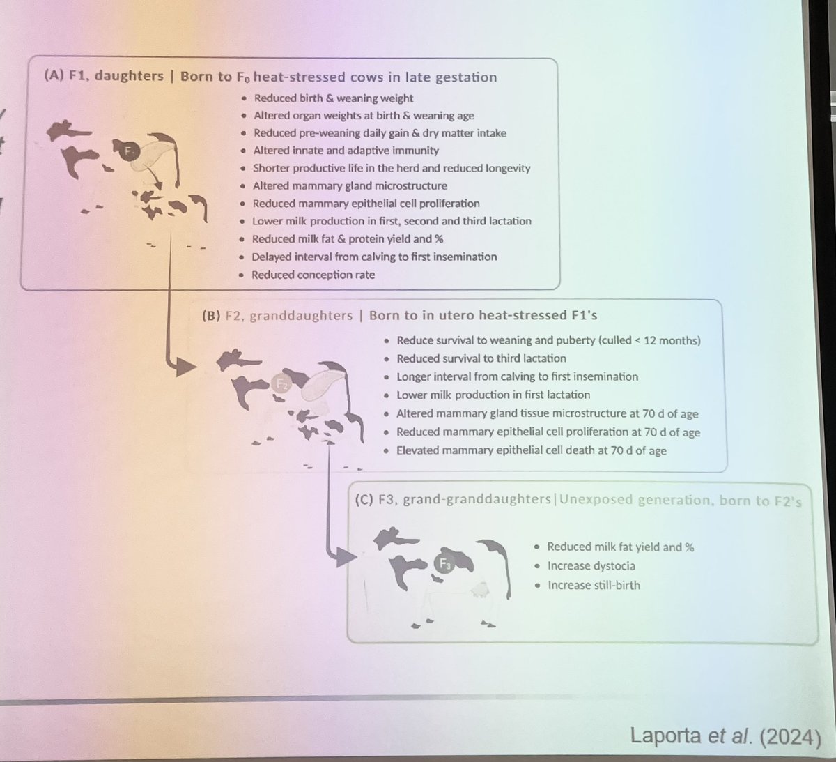 Thermal stress is a generational problem. Your heifer’s heifer calves will be affected by hot weather today! #NationalYoungstockConference