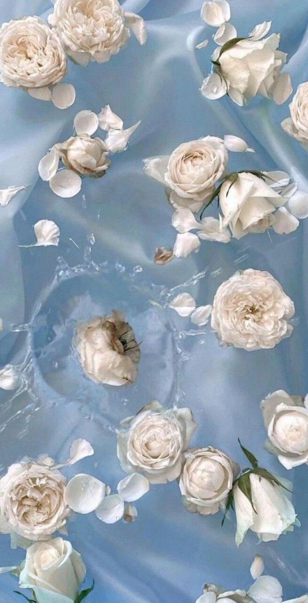 ثمّة أشياء ؛ دعها تأتي على مهَل، لا على عجَل، فجمالها يتجلّى عندما تكتمل، 
إذّ أنها عندما يتم استعجالها وتُستَجلَب قبل أوانها تكون ناقصة، مبتورة، لا طعم لها ولا لون، 
والحكمة الأصيلة فيها أن تأخذ وقتها الكافي حتى تتشكّل، وتتكوّن كافّة تفاصيلها، وتكتمل صورتها البهيّة.