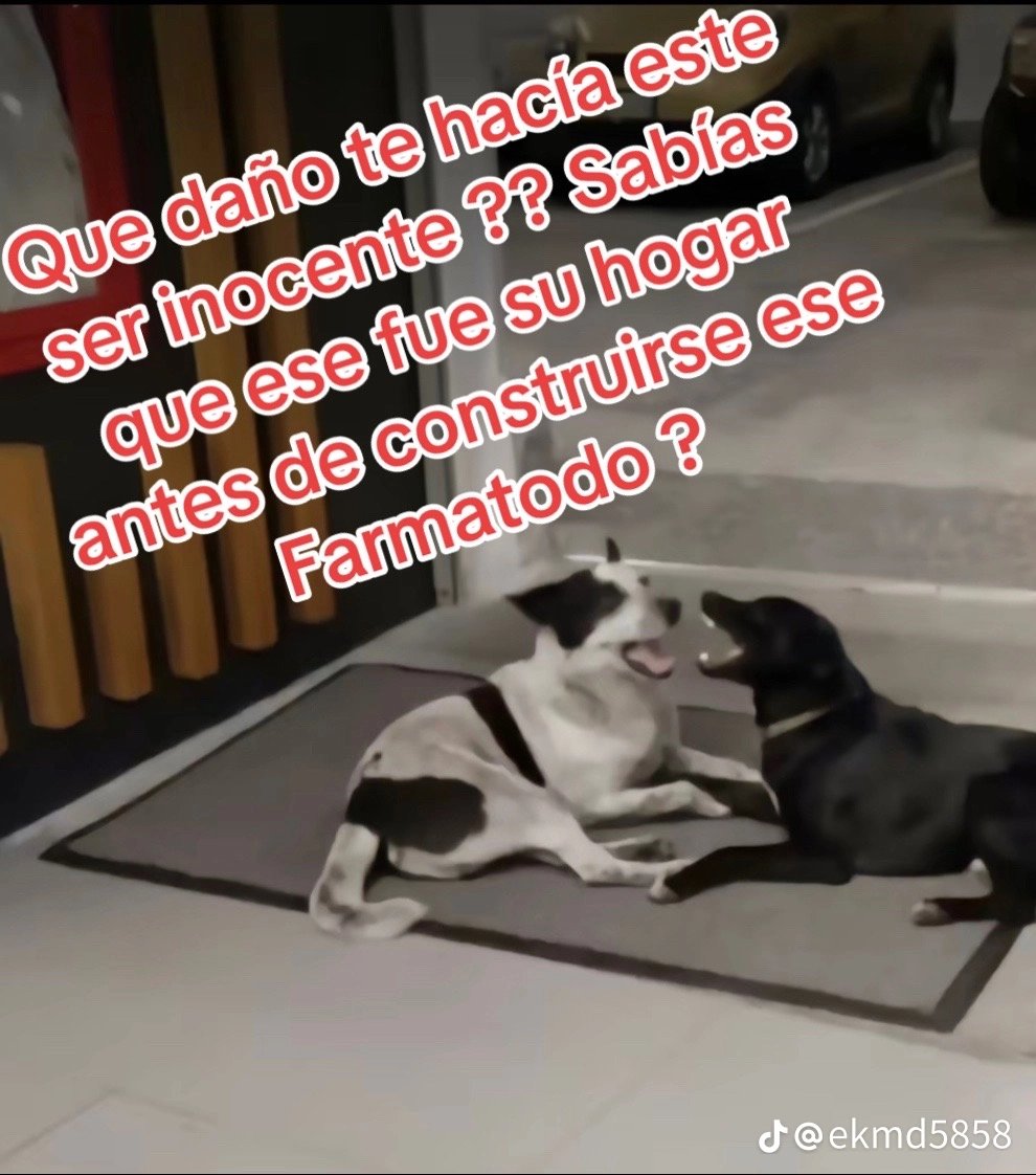 Julioca70768994's tweet photo. Que tan malo hay que ser en esta vida para hacerle ese daño a un ser inocente https://t.co/RVik7PHZgW