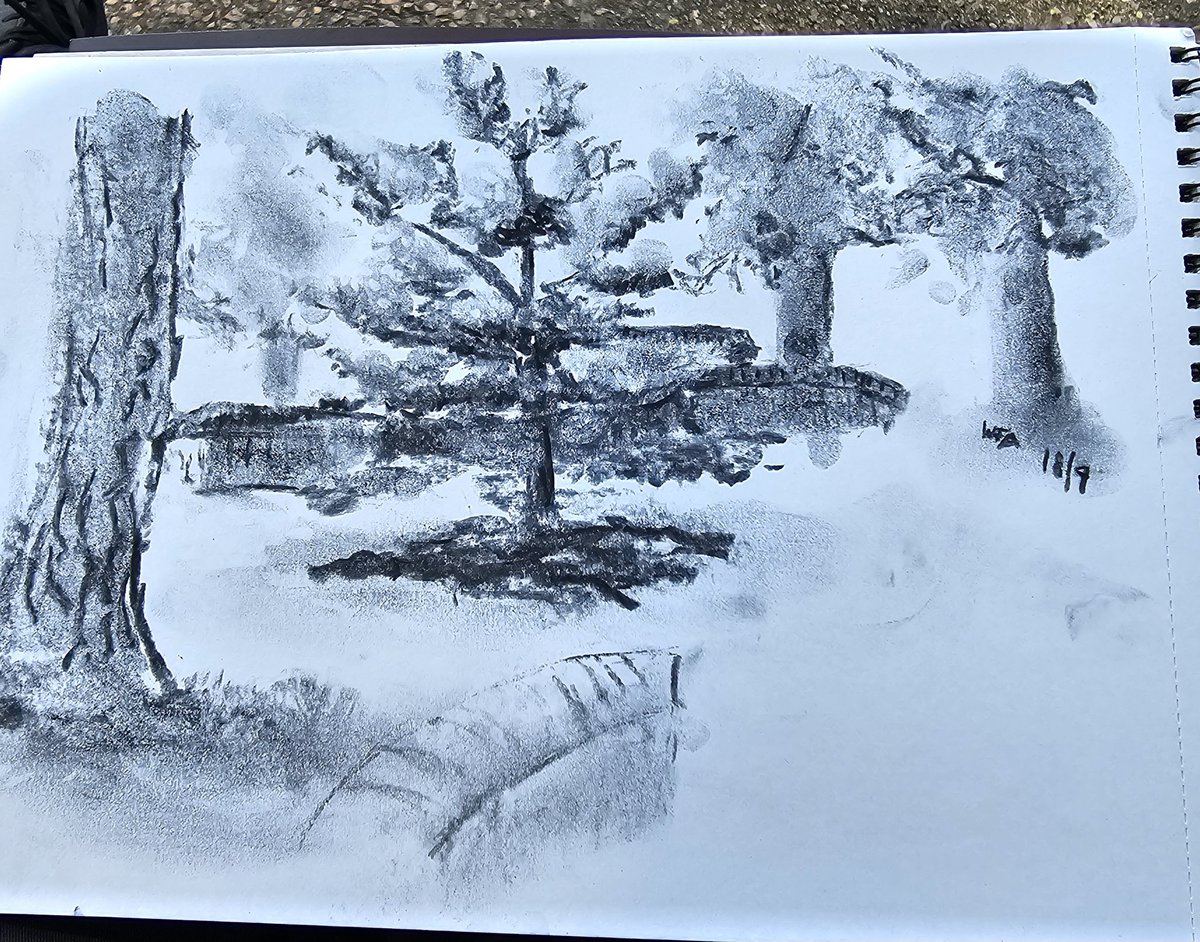 Tree in the square #CharcoalExperiments
