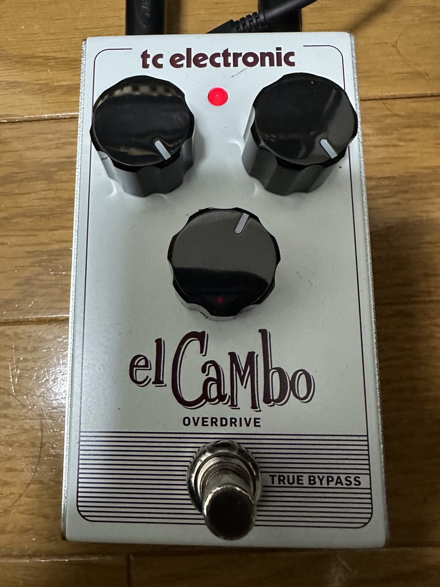 kohey_togo's tweet photo. 今日は暑かったね！
暑かったら、そうだな、弾きまくるしか無いよね！！！
ElCaMboの音はこんな感じ。
TS系って言われてる理由もなんとなく分かる。
音は良いんだけど、Zeusと比べるとデカいね💦
言いたい事は「とにかく暑い！」って事です。
#暑い
#CombatGuitars
#ClasicST
#Marshall
#tcelectronic
#Electori
#elcambo