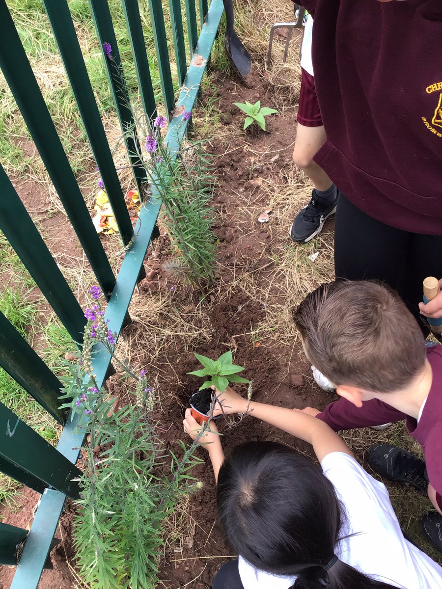 Y5_CTK's tweet photo. Last week 5AY visited what will be our new outdoor learning area at CtK. We planted a sunflower and look forward to going back when we are in year 6 to see if it’s grown.🌻 https://t.co/IEfjdWJRxq