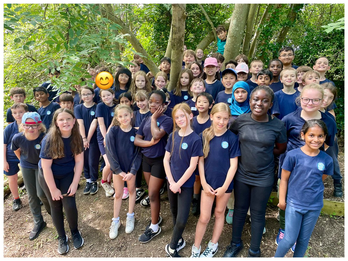 Mrs A Harrison 🌸🌼 tweet media