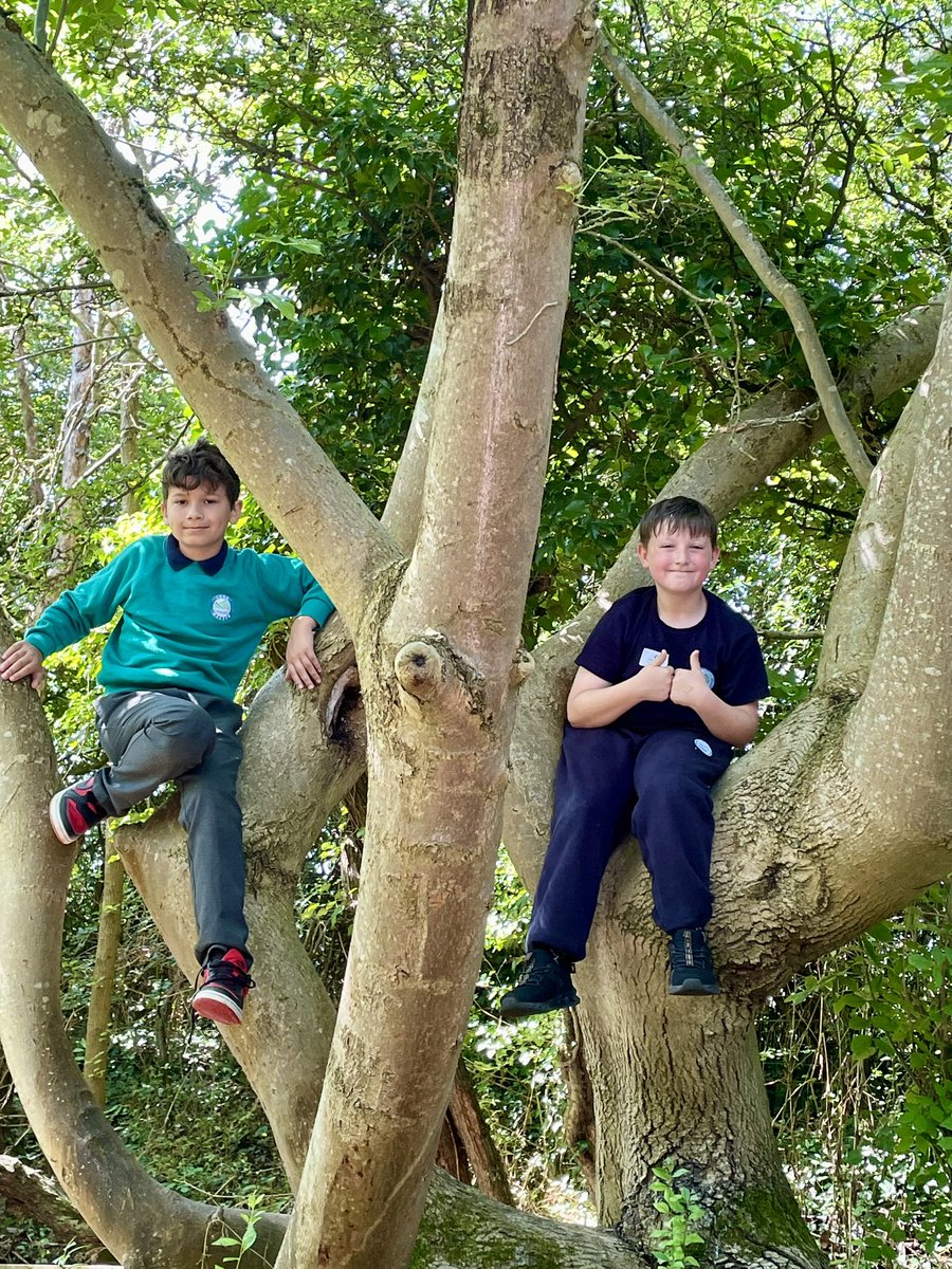 Mrs A Harrison 🌸🌼 tweet media