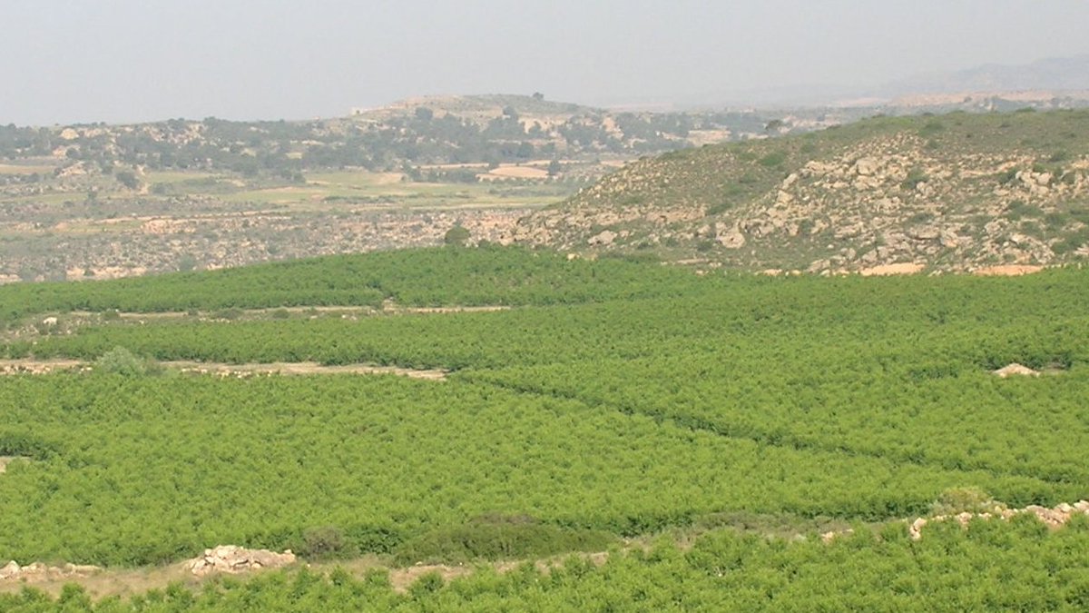 El grupo RAMA celebra el último seminario de la temporada recordando a Antonio Martínez-Cob en el décimo aniversario de su fallecimiento. Se entregará el premio al mejor seminario impartido por un/a investigador/a en formación
Mañana 19 de julio 13 h. Presencial o teleconferencia