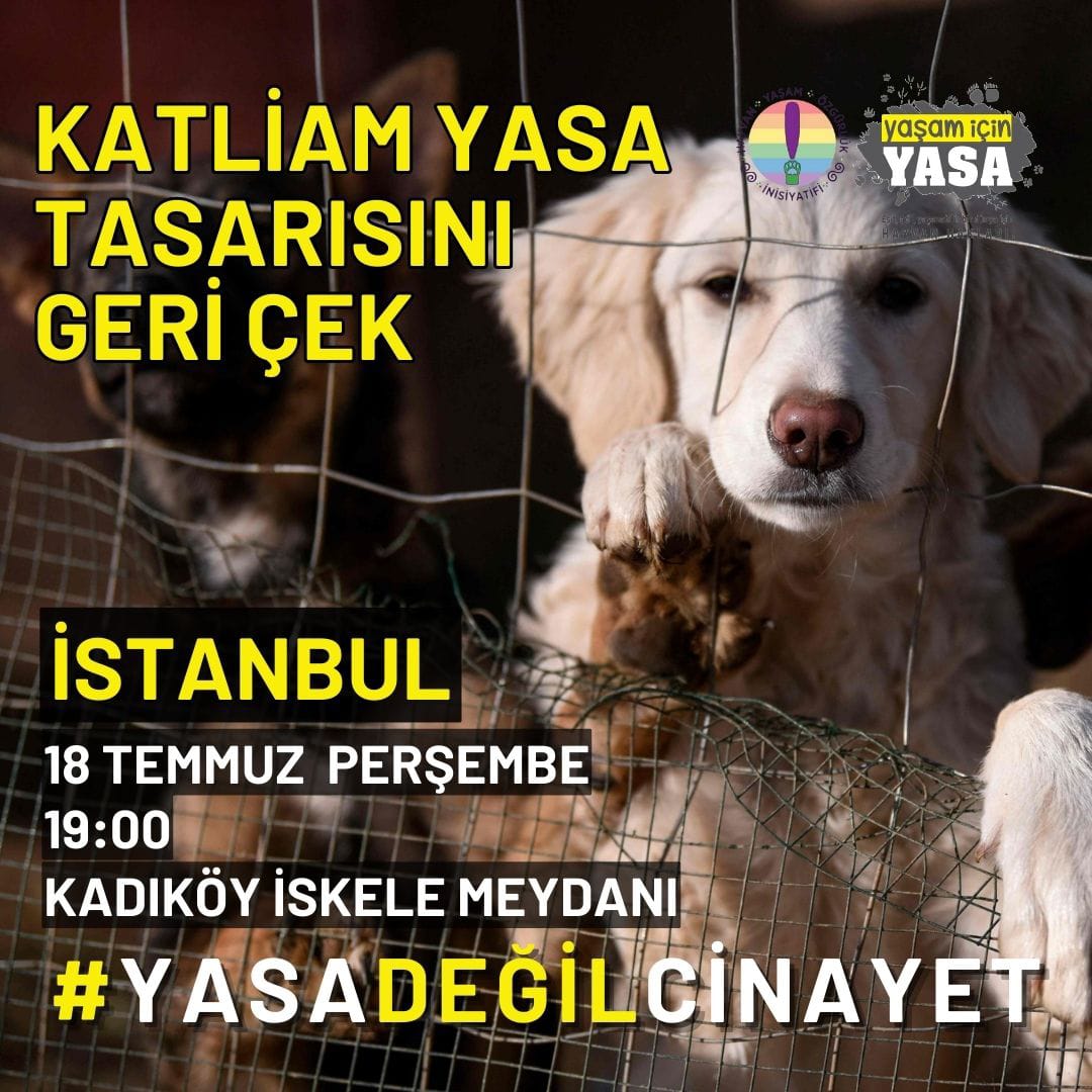 ⚠️Dün 14:00’te başlayan ve sabaha kadar sürdürülen komisyon toplantısında katliam yasasının ilk üç maddesi tüm muhalefete rağmen, AKP’li ve MHP’li vekillerin oylarıyla komisyondan geçirildi. Kalan 14 madde için toplantı Pazartesi saat 14:00’e ertelendi. 

🥁Yasa geri çekilene