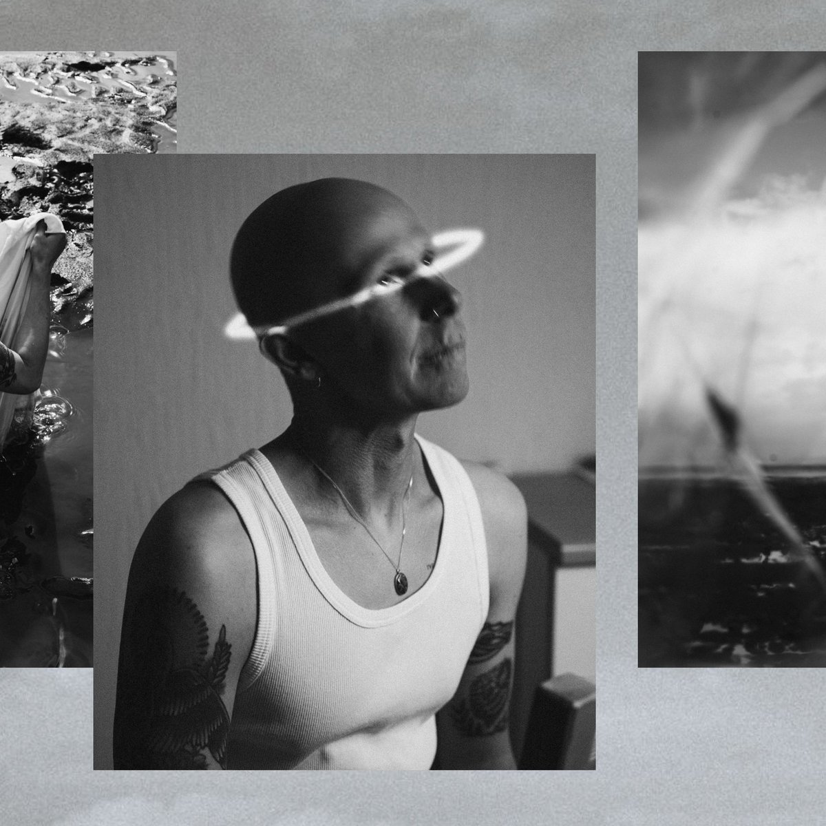 BLACK FOXXES tweet media