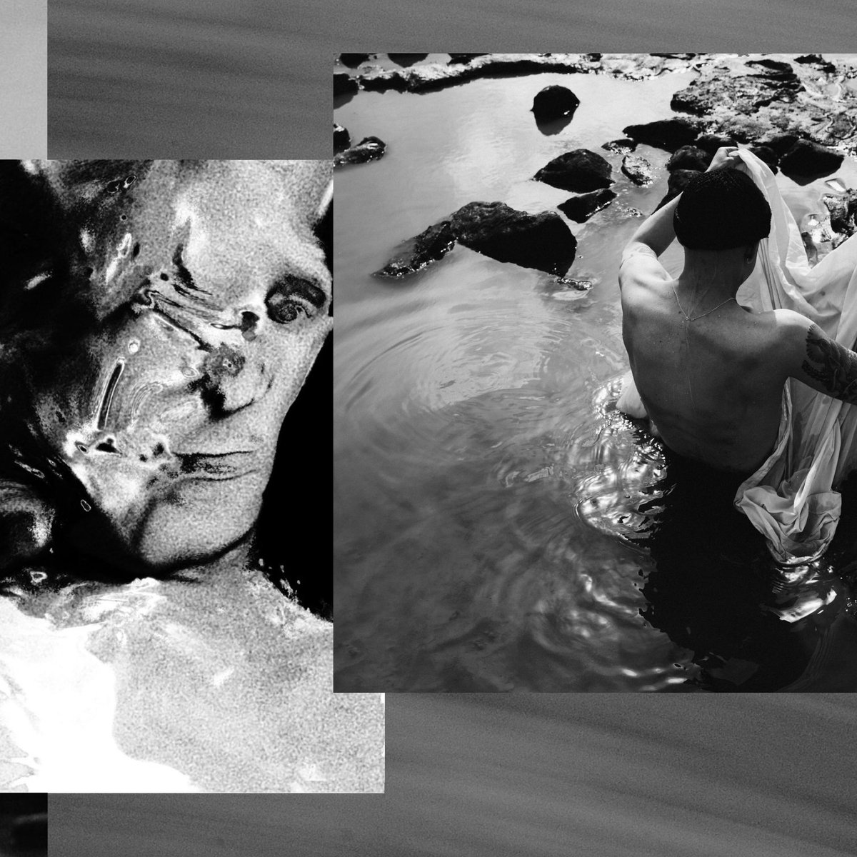 BLACK FOXXES tweet media