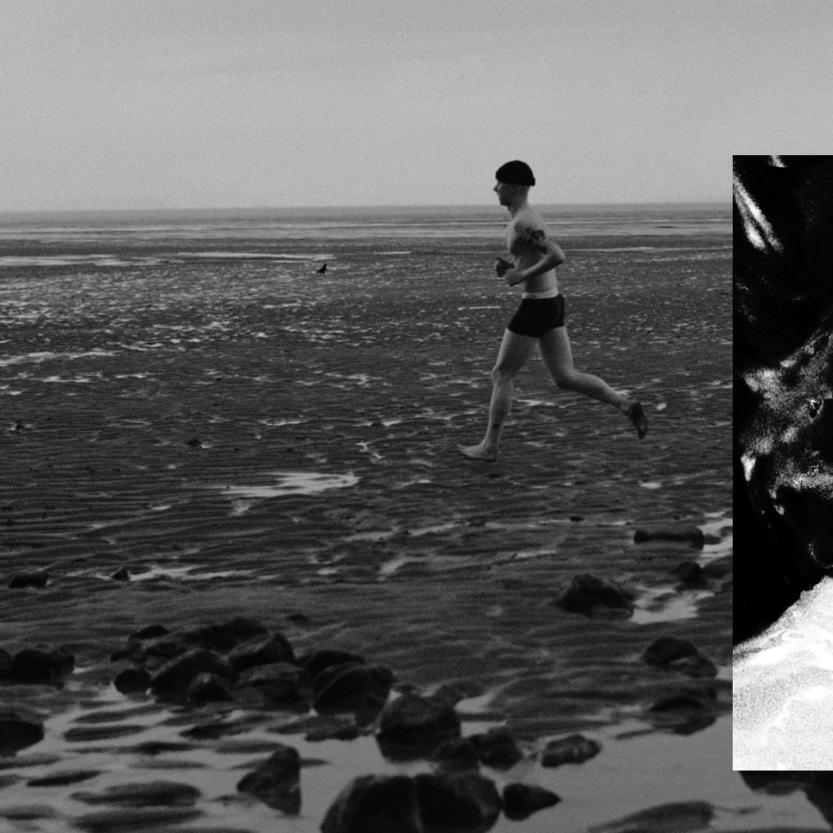 BLACK FOXXES tweet media