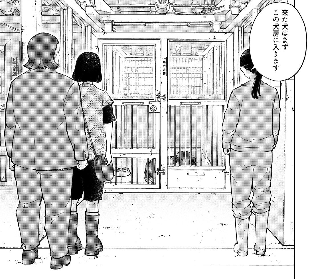 全部救ってやる
今週はお休みいただいてますが
先読みで新章スタートが読めます🐶

新章は動物愛護センター編

僕がイメージしてたセンターと
話を聞いたセンターと
実際に見たセンター
は全部違って見えました

是非新章チェックしてください💪

#マンガが読めるハッシュタグ 