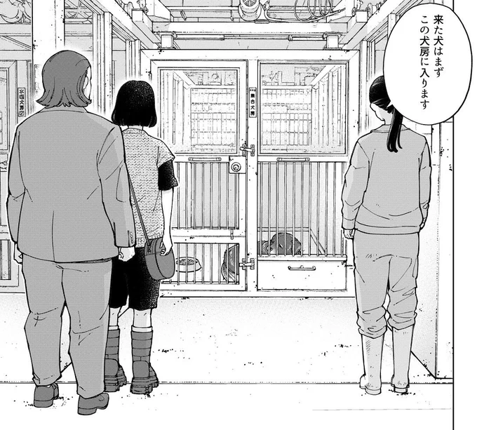 全部救ってやる
今週はお休みいただいてますが
先読みで新章スタートが読めます🐶

新章は動物愛護センター編

僕がイメージしてたセンターと
話を聞いたセンターと
実際に見たセンター
は全部違って見えました

是非新章チェックしてください💪

#マンガが読めるハッシュタグ 