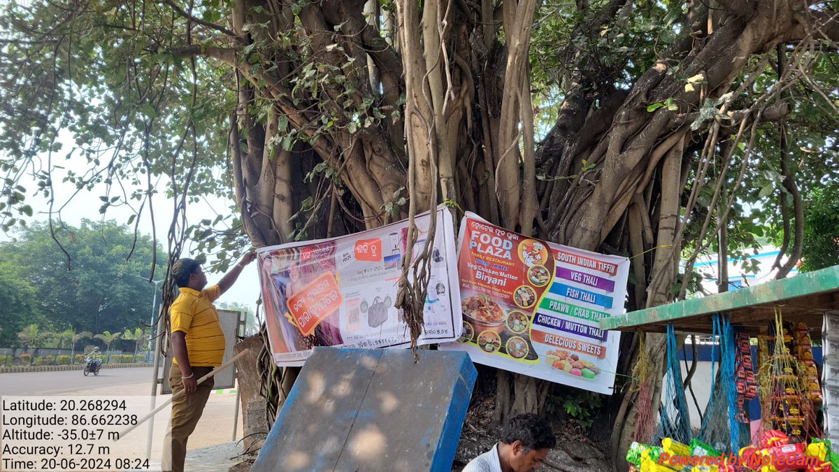 Aahwanofficial's tweet photo. Thank you to the @ForestDeptt  for your swift action in removing unauthorized advertisements and posters from trees after our complaint. Your dedication helps keep our environment clean and our trees healthy!
@DharitriLive1 @CollectorJspur @CMO_Odisha
  #EnvironmentProtection https://t.co/2PgNzzptqS