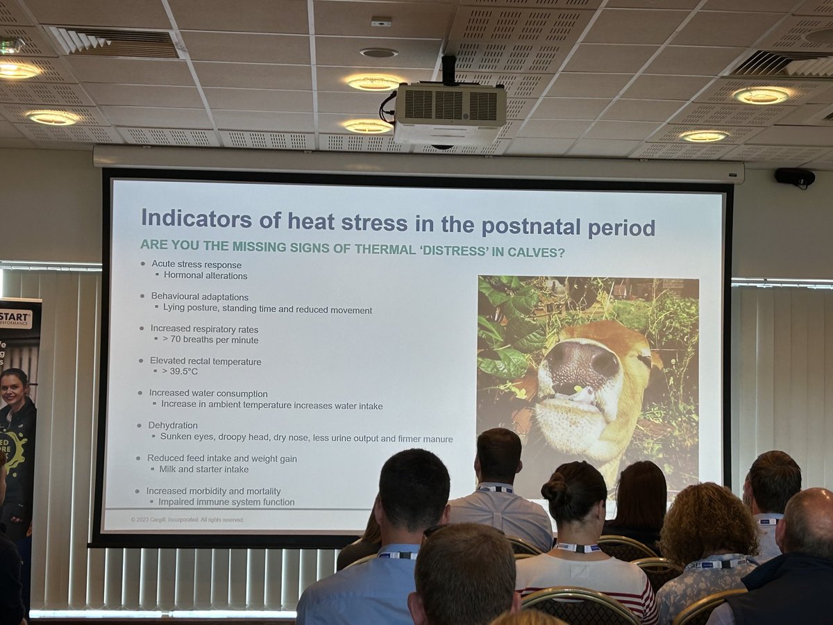 Crediton Milling (@creditonmilling) on Twitter photo โฆ<a href="/BiancaTheeruth/">Bianca Theeruth</a>โฉ warned us to be โcareful observersโ of heat stress in calves on our farms - it may be having a bigger difference on performance than we think! โฆ<a href="/CargillAnimalUK/">Cargill Animal Nutrition - UK</a>โฉ โฆ<a href="/CalfConference/">National Youngstock Conference</a>โฉ โฆ<a href="/BiancaTheeruth/">Bianca Theeruth</a>โฉ warned us to be โcareful observersโ of heat stress in calves on our farms - it may be having a bigger difference on performance than we think! โฆ<a href="/CargillAnimalUK/">Cargill Animal Nutrition - UK</a>โฉ โฆ<a href="/CalfConference/">National Youngstock Conference</a>โฉ