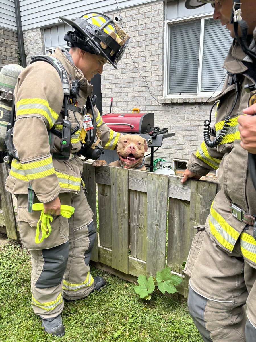 NFPFFA L528 tweet media