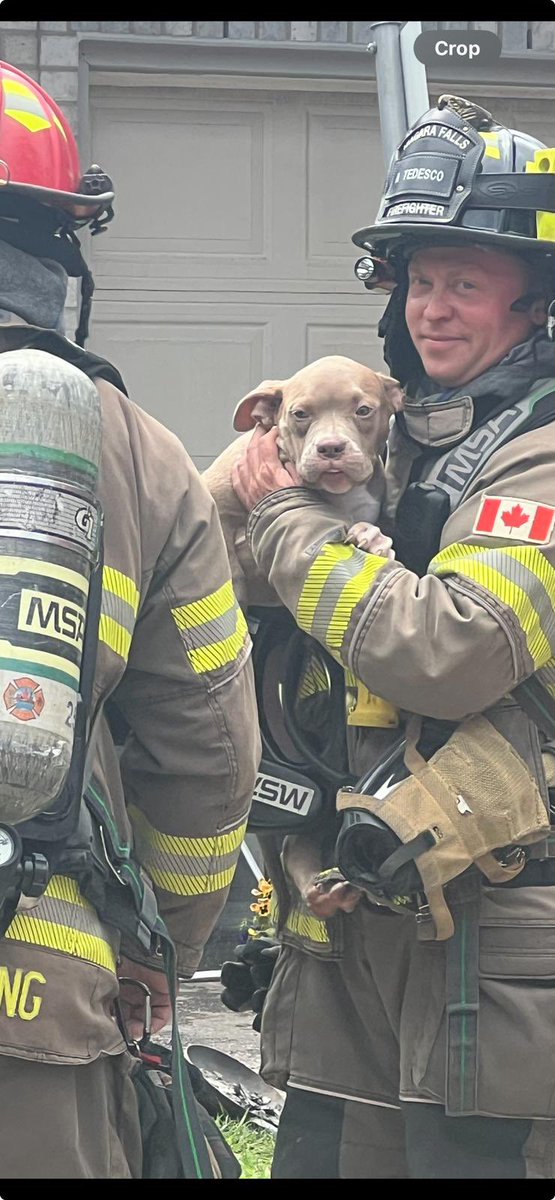 NFPFFA L528 tweet media