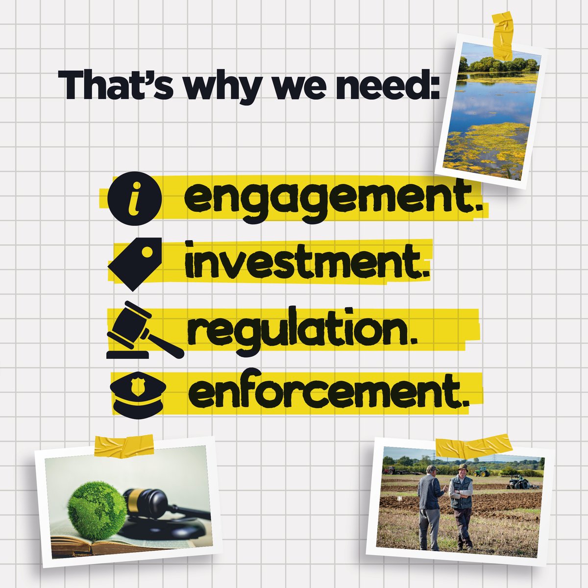 Alliance Party tweet media