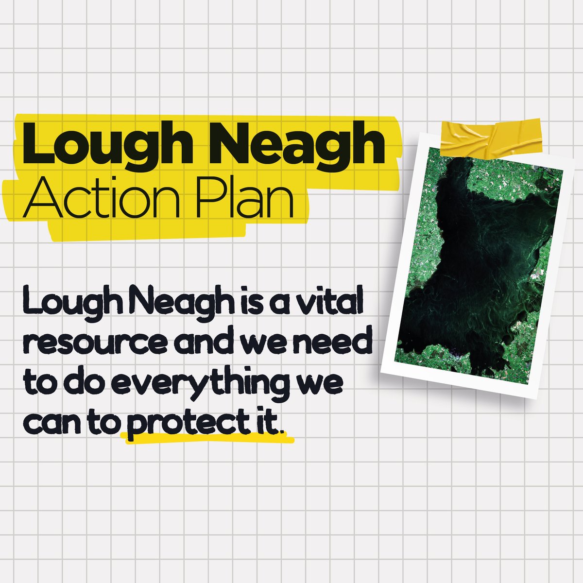 Alliance Party tweet media