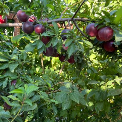 GonzalezEnriko's tweet photo. #YeniProfilResmi https://t.co/US2TqZapJP