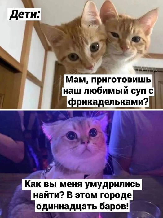 DetochkaRu's tweet photo. https://t.co/TeLBggFJve
