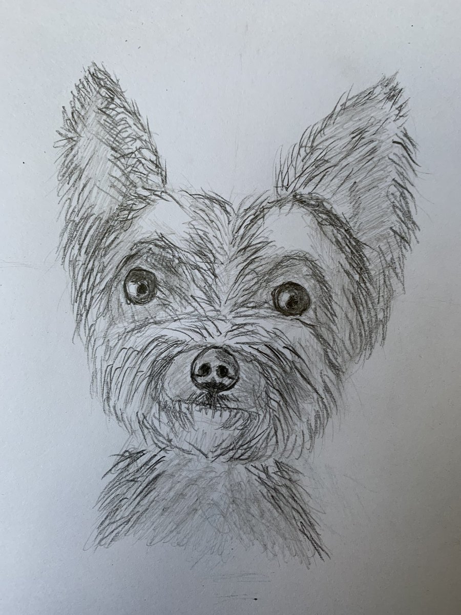 Nick Wood tweet media