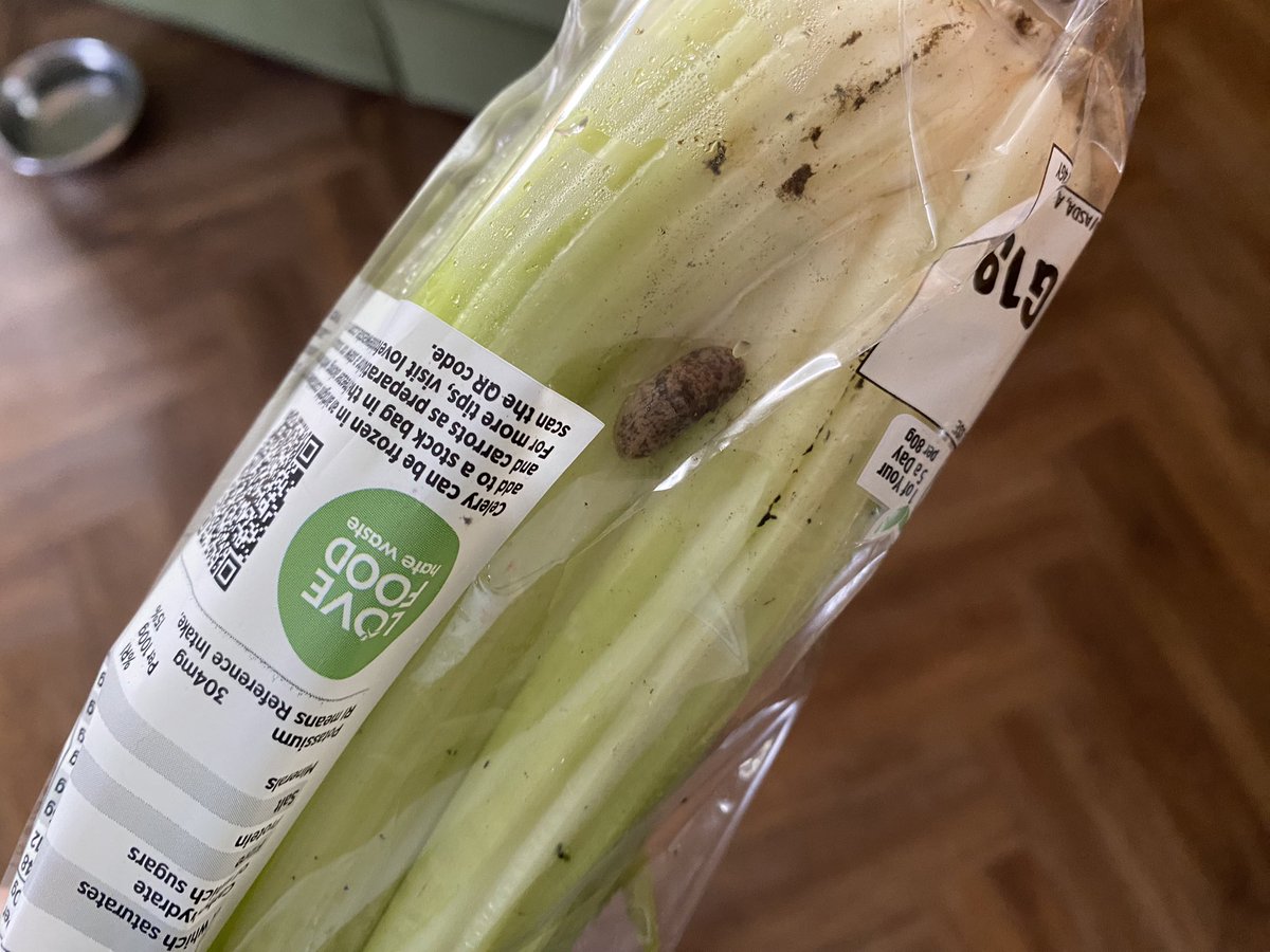 Ellen Elliott-Brown ๐ฝ (@ebro.bsky.social) tweet media