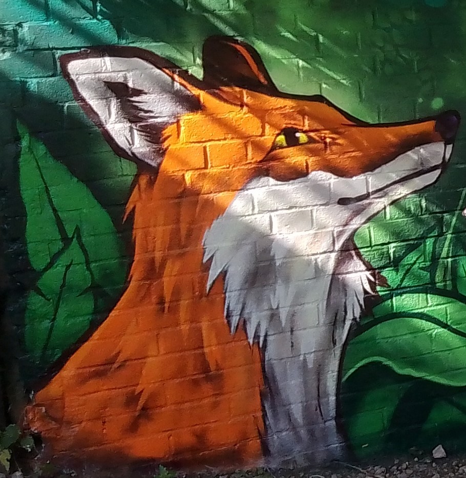 Garthorne Road Nature Reserve tweet media