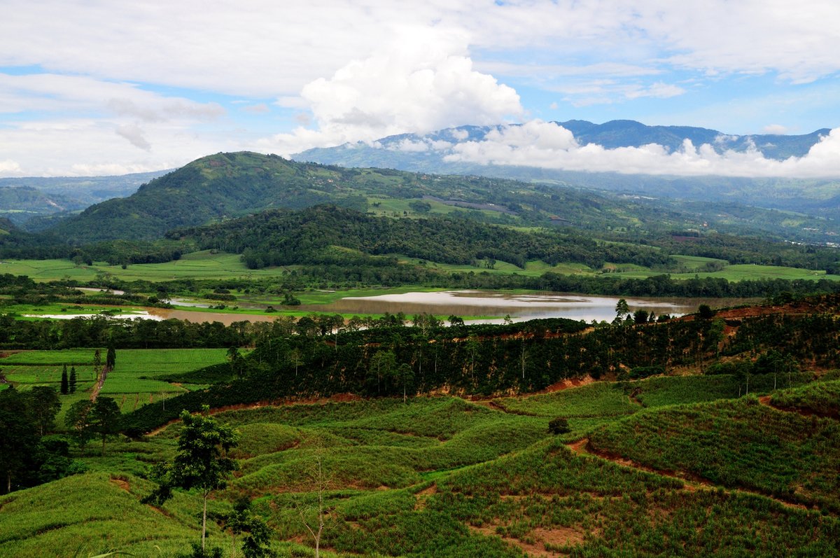 IISD_Infrastructure tweet media