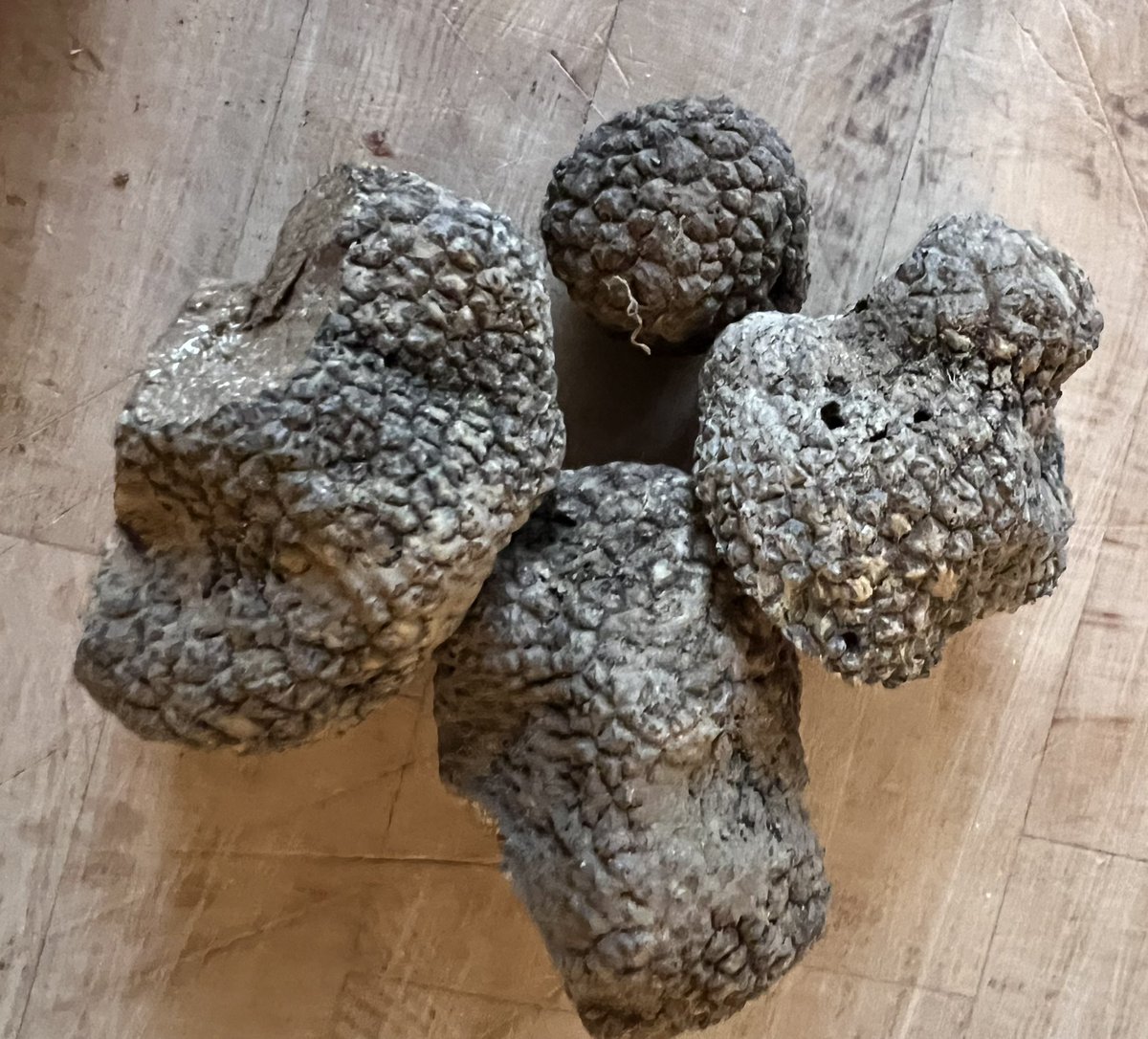 Michel Roux Jr tweet media