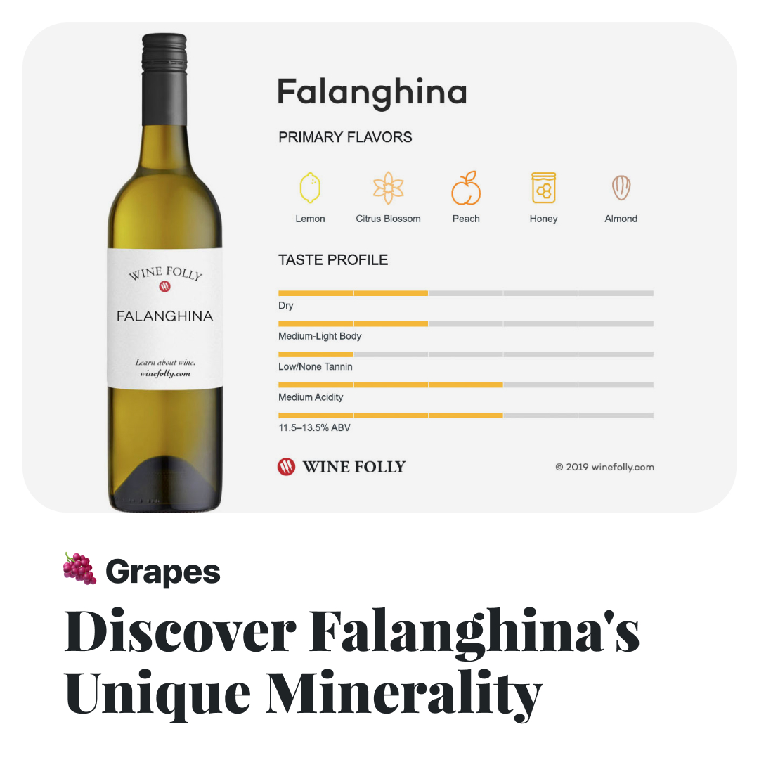 WineFolly's tweet image. 🍇 Once almost extinct, Falanghina is one of Italy’s oldest grapes. 
Learn more → winefolly.com/grapes/falangh…

Have you tasted Falanghina?

#winegrape #wine