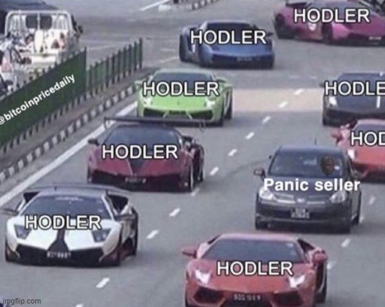 naiivememe's tweet photo. #BTC 2027 https://t.co/8WDMJW4znO