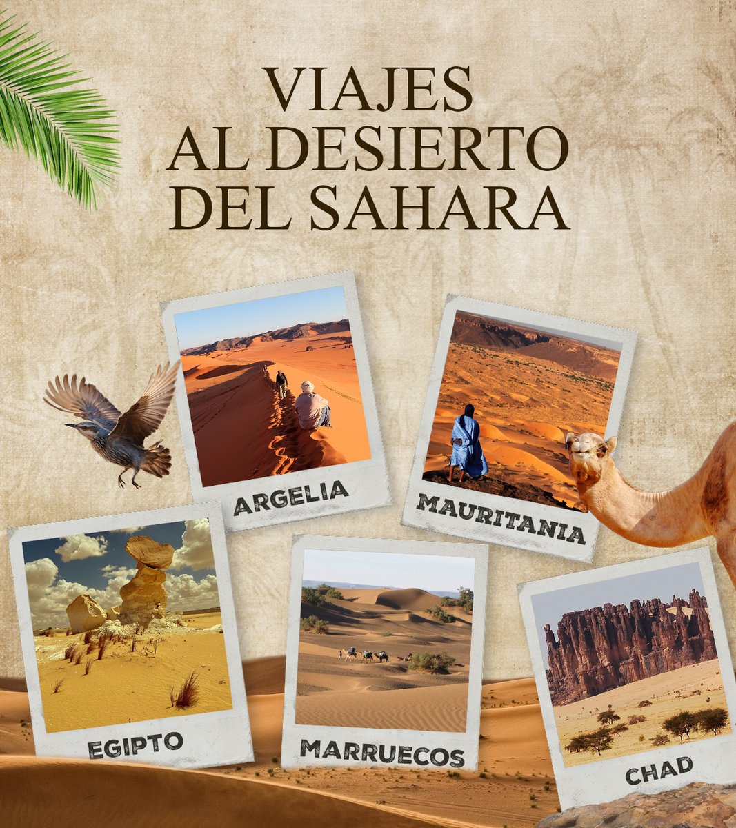 ¡Nuevo Artículo en el Blog! 🗒️

La época de desiertos está a la vuelta de la esquina. Con unas temperaturas más suaves es momento de recorrer las dunas con nuestra mochila preparada para la aventura. 

Lee más aquí 👇
tuaregviatges.es/articulos/viaj…