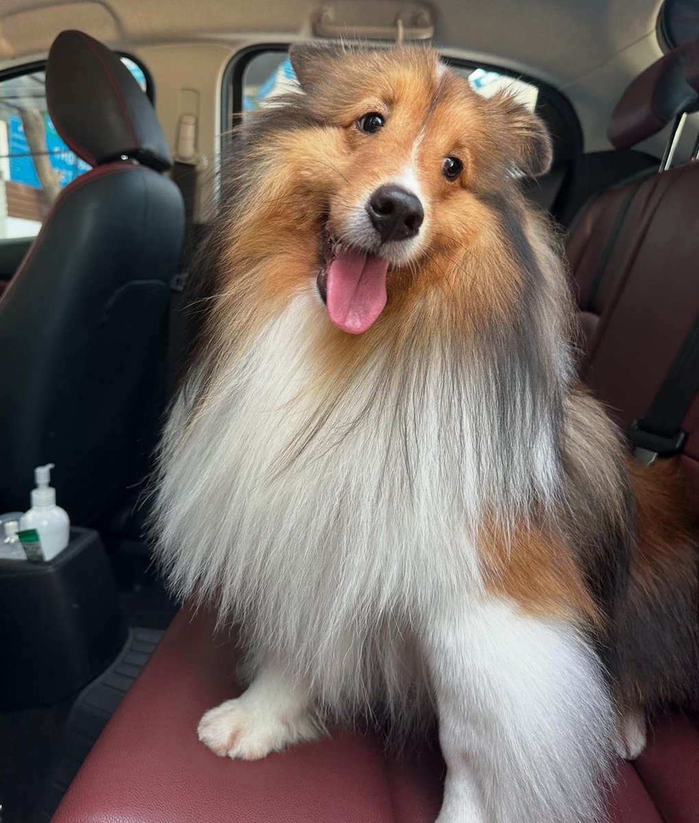 metaawinops's tweet photo. Rest in love, nong Bentley 🫶🏼🕊️
Thank you for making everyone happy🫶🏼
You always in our heart nong Benben 💚

#bentleycartierO https://t.co/2lyQs8FLqx