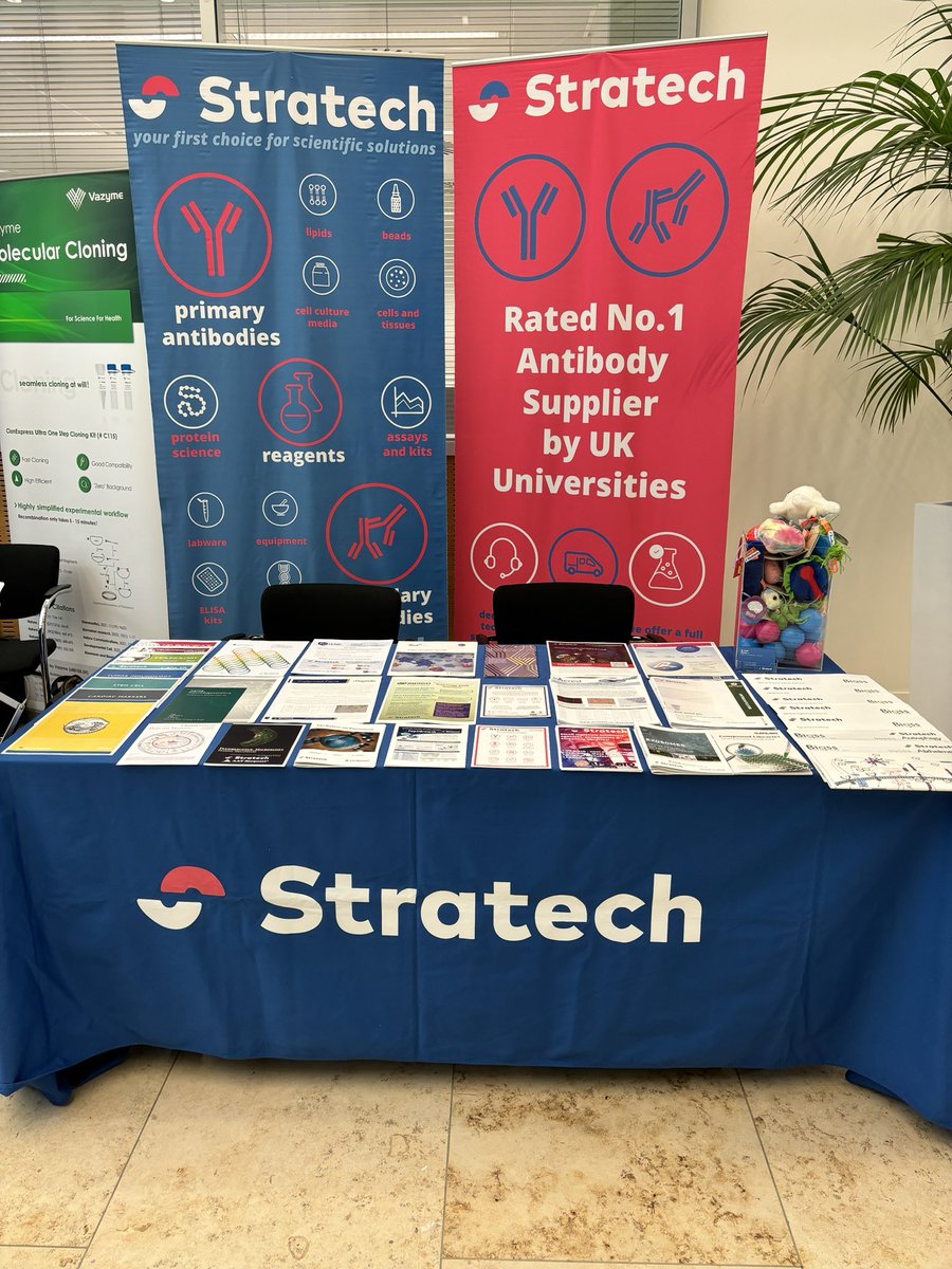 anil_stratech tweet media