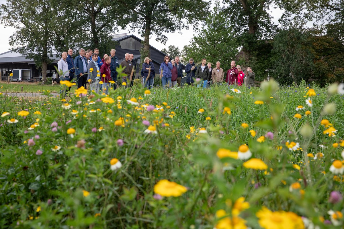 Onze nieuwsbrief is uit! Over een reddingsactie van reekalveren en hazen, subsidies voor landschapsherstel, de nieuwe samenstelling van ons dagelijks bestuur en nog veel meer: zomer nieuwsbrief - ELAN Zuidoost Friesland (elan-zofriesland.nl)