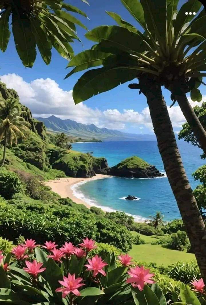 patane_thomas's tweet photo. Good Morning and Happy Thursday All 🌞

Have an Awesome Day 🏝️ 🌊 🏄 https://t.co/O4CQt8mdSH