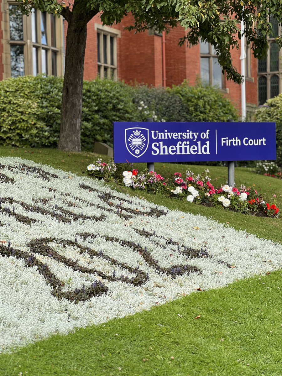 Holly Geraghty tweet media