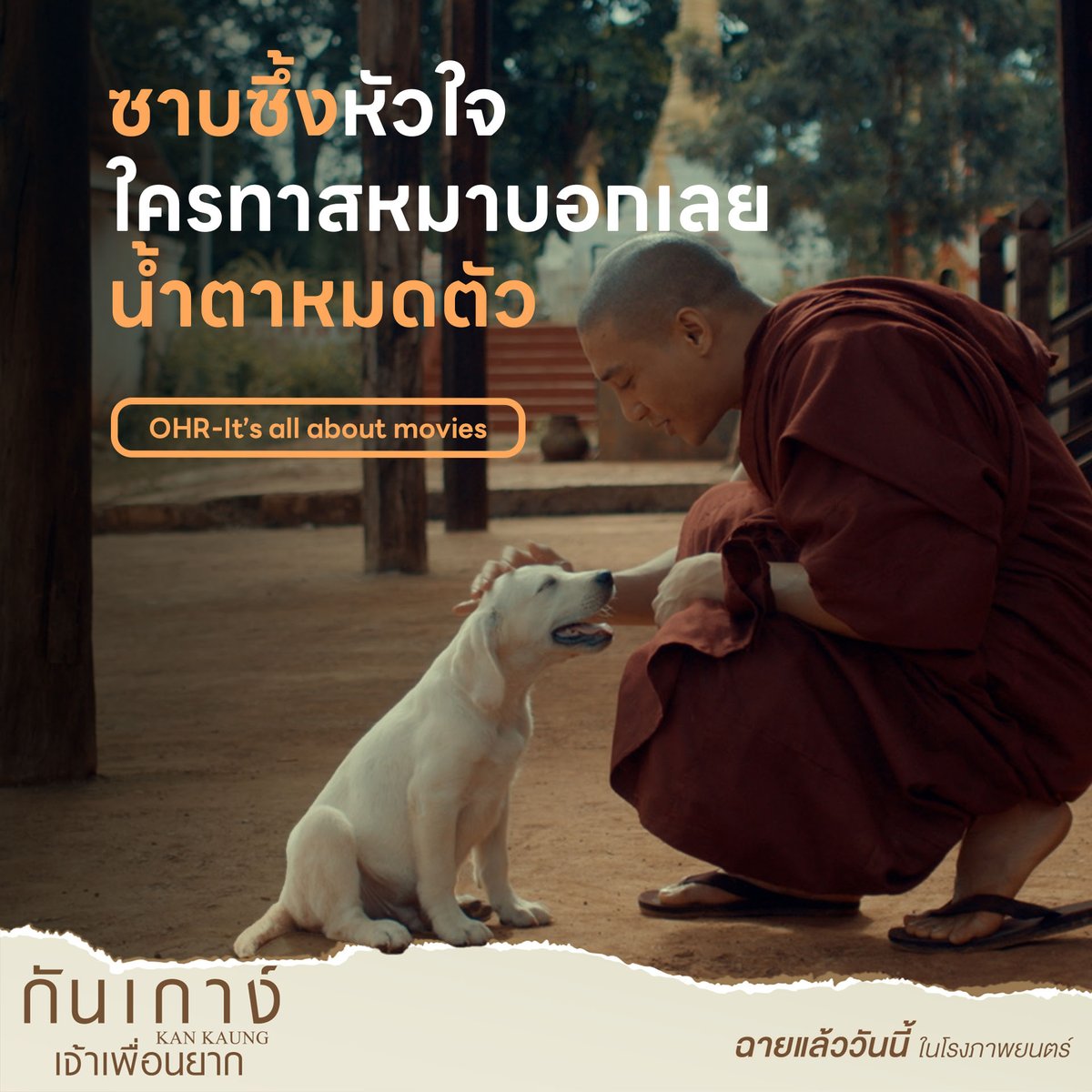 ซาบซึ้งหัวใจ ใครทาสหมาบอกเลย
น้ำตาหมดตัว 😭😭😭

-OHR-It’s all about movies-

วันนี้ ในโรงภาพยนตร์
#กันเกาง์เจ้าเพื่อนยาก
#KANKAUNG
#ไป่ทาคน #PaingTakhon