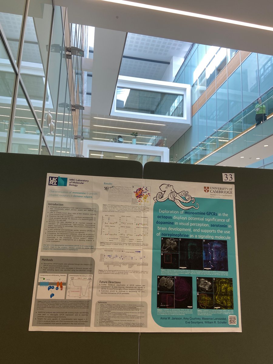 Anna Jansson tweet media