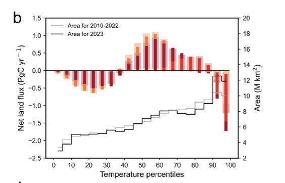 Enfraquecimento dos sumidouros terrestres e oceânicos de CO2