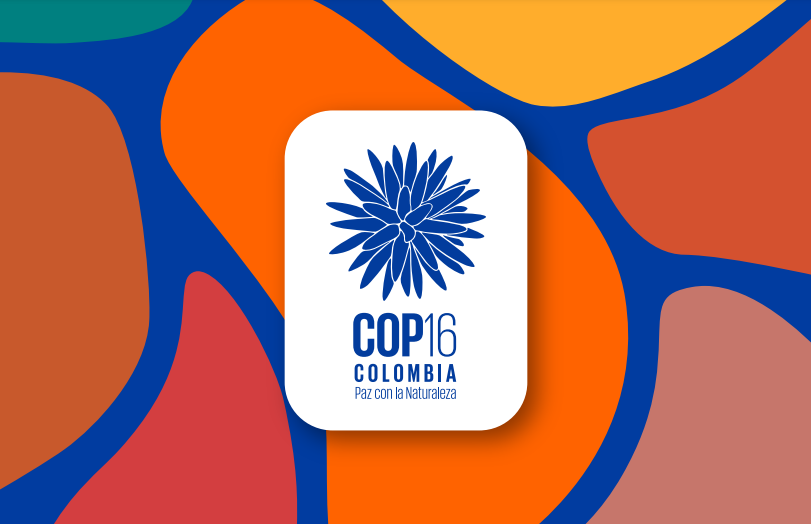Nuevos recursos en materia de #Biodiversidad 🐋🌿

<a href="/MinAmbienteCo/">MinAmbiente Colombia</a> presenta un kit de recursos pedagógicos, informativos y de sensibilización para empoderar a la ciudadanía de cara a la @COP16Colombia en Cali. 🇨🇴

Accede a estas herramientas gratuitas ⤵️

cop16colombia.com/es/documentos/
