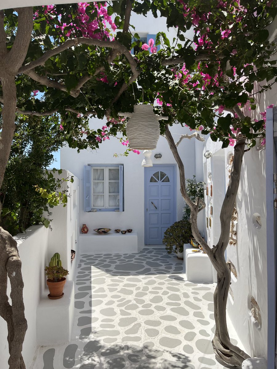 Mario Canales tweet media