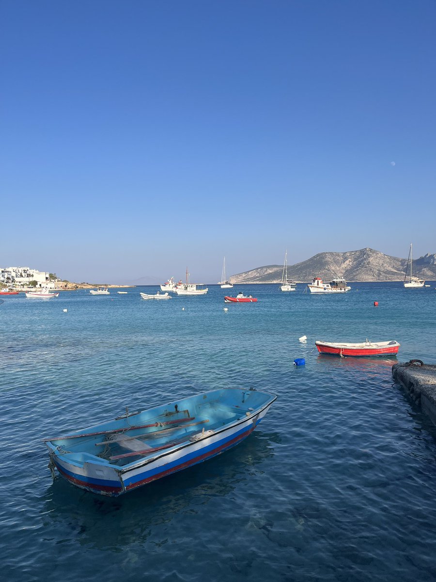 Mario Canales tweet media