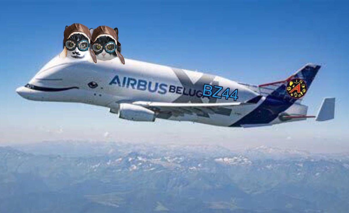 BungZipChoir's tweet photo. We are in the air everyone ! #TheAviators #Hedgewatch https://t.co/YDmmnzky4I