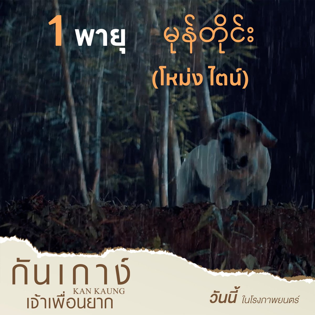 FSIPthailand's tweet photo. 5 คำศัพท์พม่าน่ารู้
มีคำว่าอะไรบ้างมาดูกัน~

วันนี้ ในโรงภาพยนตร์
ဦးဇင်းနဲ့ ခွေးကလေးကံကောင်းတို့ရဲ့ ကြည်နူးဖွယ်ရာ မေတ္တာဖွဲ့ရုပ်ရှင်ကားကြီး ဒီနေ့ ရုပ်ရှင်ရုံတွေမှာ ပြသနေပါပြီနော်
#กันเกาง์เจ้าเพื่อนยาก
#KANKAUNG
#ไป่ทาคน #PaingTakhon https://t.co/3nbS3dFddd
