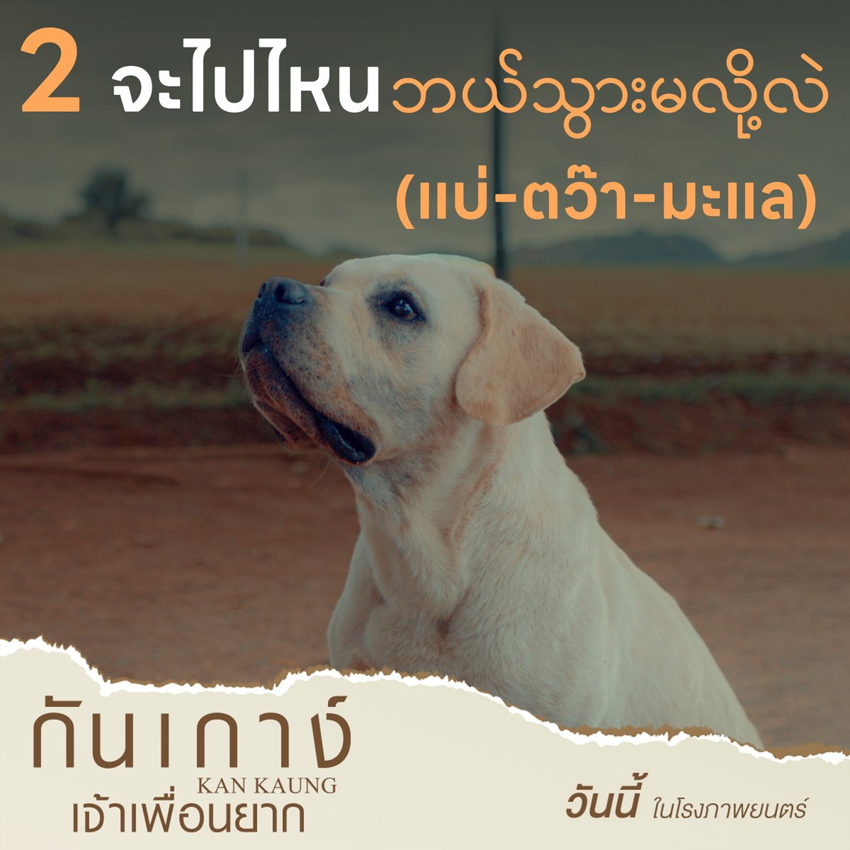 FSIPthailand's tweet photo. 5 คำศัพท์พม่าน่ารู้
มีคำว่าอะไรบ้างมาดูกัน~

วันนี้ ในโรงภาพยนตร์
ဦးဇင်းနဲ့ ခွေးကလေးကံကောင်းတို့ရဲ့ ကြည်နူးဖွယ်ရာ မေတ္တာဖွဲ့ရုပ်ရှင်ကားကြီး ဒီနေ့ ရုပ်ရှင်ရုံတွေမှာ ပြသနေပါပြီနော်
#กันเกาง์เจ้าเพื่อนยาก
#KANKAUNG
#ไป่ทาคน #PaingTakhon https://t.co/3nbS3dFddd